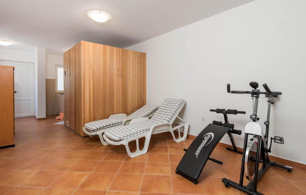 Apartment Dedic
